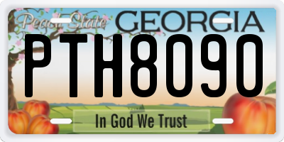 GA license plate PTH8090