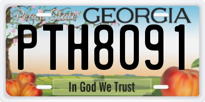 GA license plate PTH8091