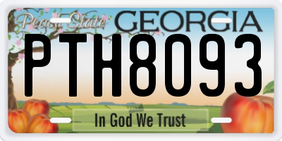 GA license plate PTH8093