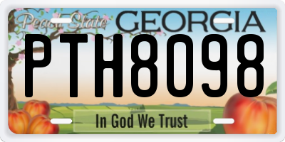 GA license plate PTH8098