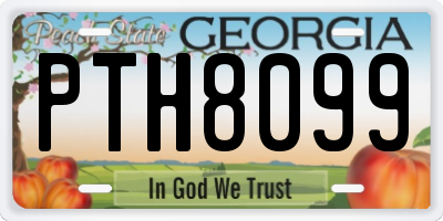 GA license plate PTH8099