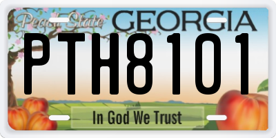 GA license plate PTH8101