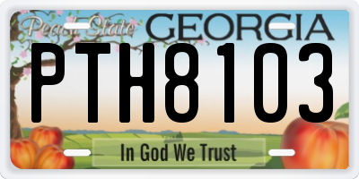 GA license plate PTH8103