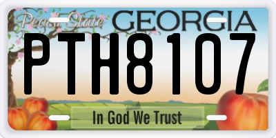 GA license plate PTH8107