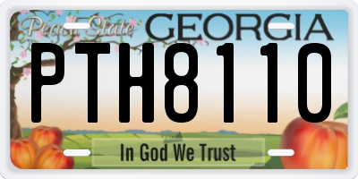 GA license plate PTH8110