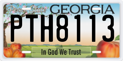 GA license plate PTH8113
