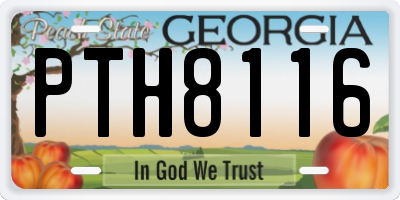 GA license plate PTH8116