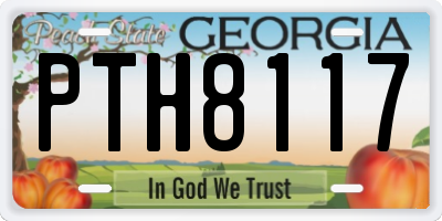 GA license plate PTH8117