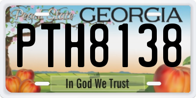 GA license plate PTH8138