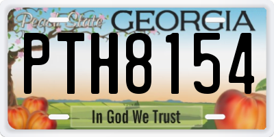 GA license plate PTH8154