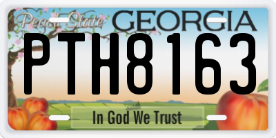 GA license plate PTH8163