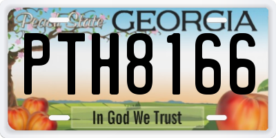 GA license plate PTH8166