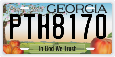 GA license plate PTH8170