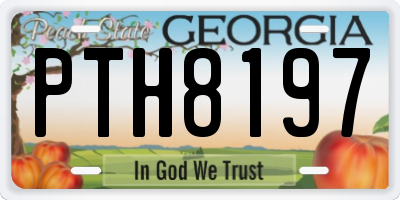 GA license plate PTH8197