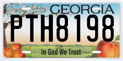 GA license plate PTH8198