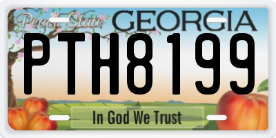 GA license plate PTH8199