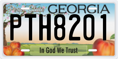 GA license plate PTH8201