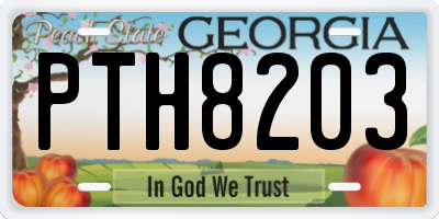 GA license plate PTH8203
