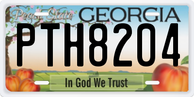 GA license plate PTH8204