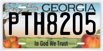 GA license plate PTH8205