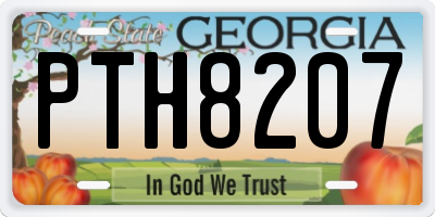 GA license plate PTH8207