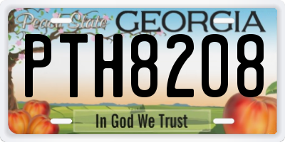 GA license plate PTH8208