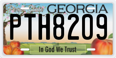GA license plate PTH8209