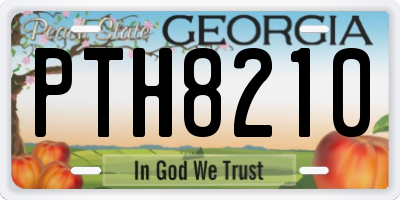 GA license plate PTH8210