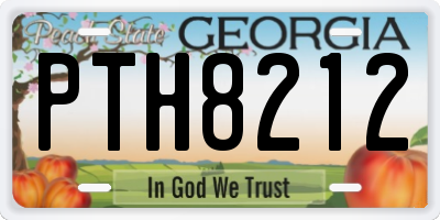 GA license plate PTH8212