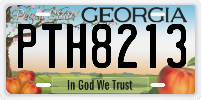 GA license plate PTH8213