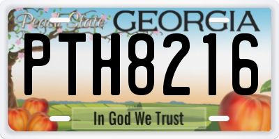 GA license plate PTH8216