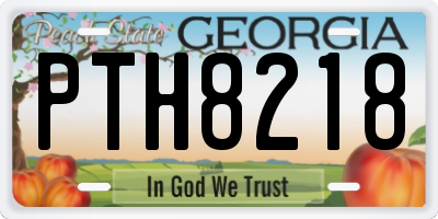 GA license plate PTH8218