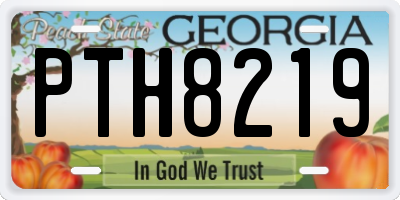 GA license plate PTH8219