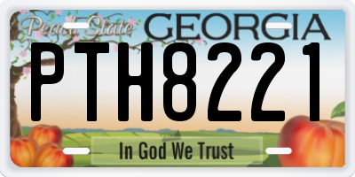 GA license plate PTH8221