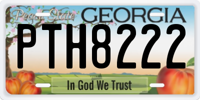 GA license plate PTH8222