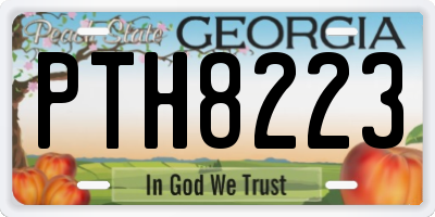 GA license plate PTH8223
