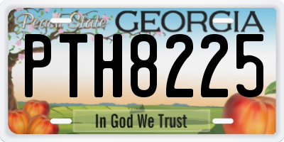 GA license plate PTH8225