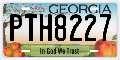 GA license plate PTH8227