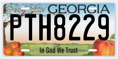 GA license plate PTH8229