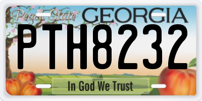 GA license plate PTH8232