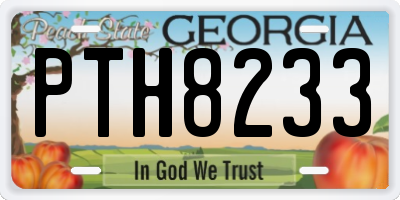 GA license plate PTH8233