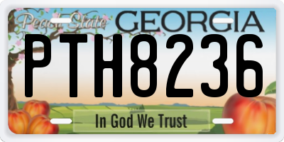 GA license plate PTH8236