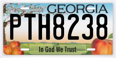 GA license plate PTH8238