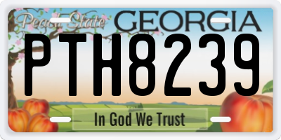 GA license plate PTH8239