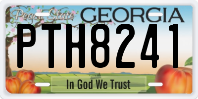 GA license plate PTH8241