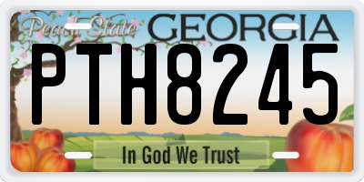 GA license plate PTH8245