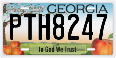 GA license plate PTH8247