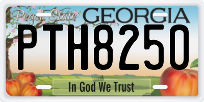 GA license plate PTH8250