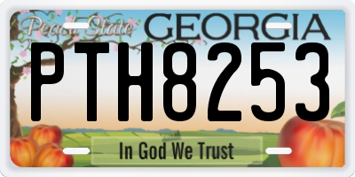GA license plate PTH8253