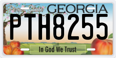 GA license plate PTH8255
